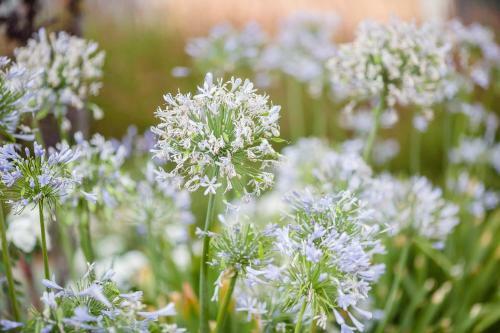 Casa Anamaria Hotel & Villas