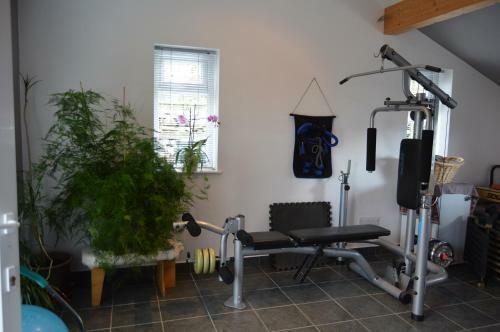 Mountainstudios