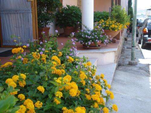 Hotel La Lampara