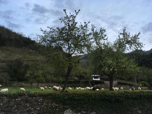 Agroturismo El Caser�o