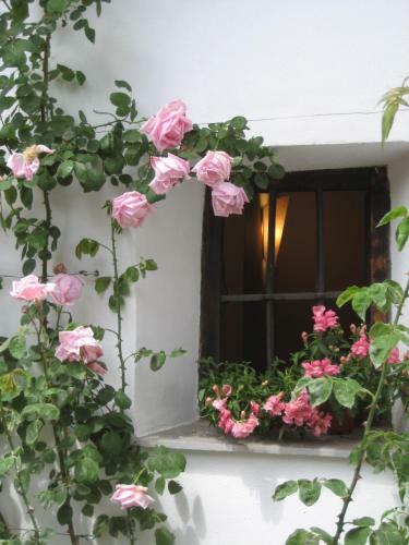 Agroturismo Casa Ana