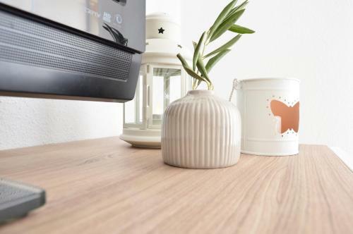 Apartamento Aloja Dreams