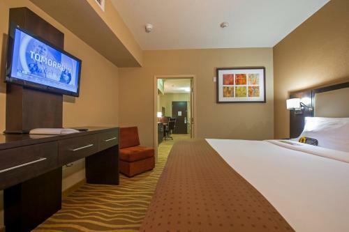 Hotel Holiday Inn Houston - Westchase