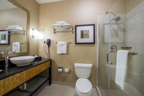 Hotel Holiday Inn Houston - Westchase