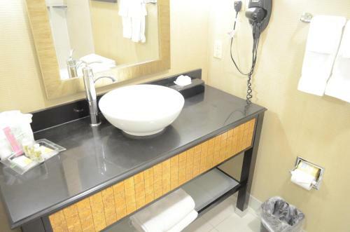 Hotel Holiday Inn Houston - Westchase
