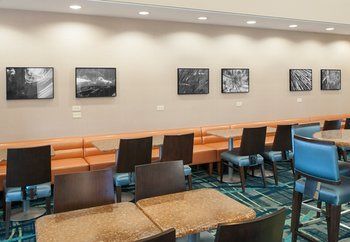 Hotel Springhill Suites Chicago O'hare By Marriott