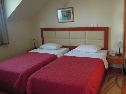 Hotel Sucevic Garni