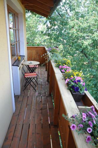 Hostal Penzi�n Stefanshof