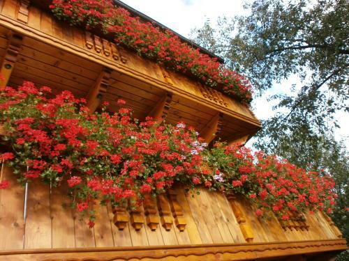Hostal Penzi�n Stefanshof