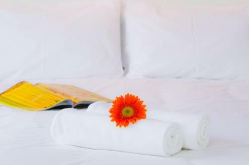 Hotel Zing Phnom Penh
