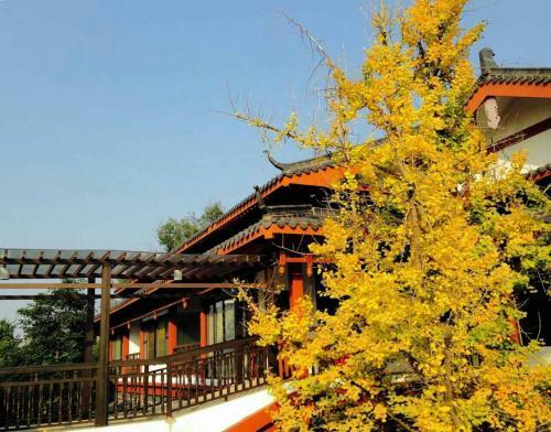Hotel Guilin Zizhou Panorama Resort