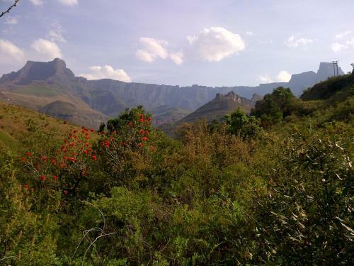 Spion Kop Lodge