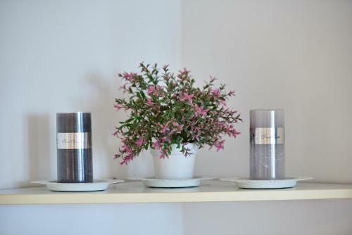 Apartamentos Studio Kristic