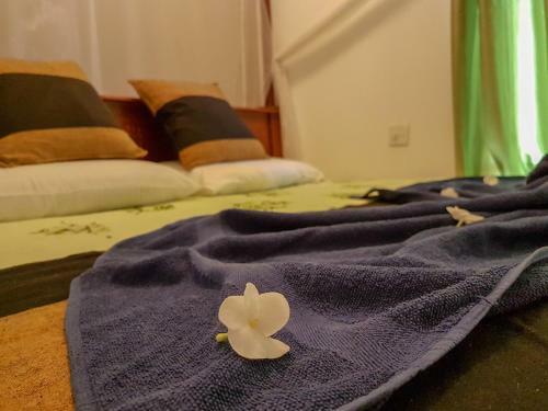 Hotel White Villa Beach Resort