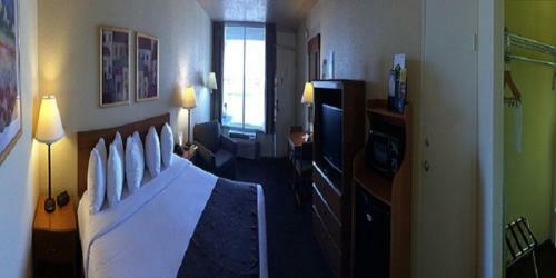 Motel Whitten Inn University
