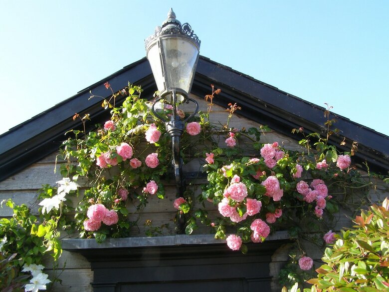 Hostal Landseer House