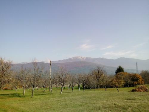 Villa Sandra