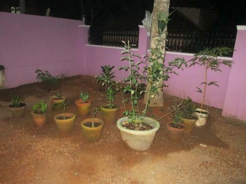 Aabhaa Homestay In Trivandrum
