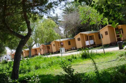 Bungalows-camping La Rana Verde