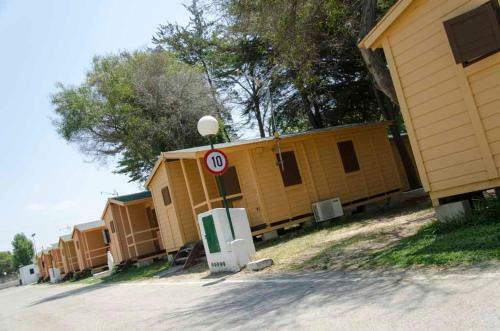 Bungalows-camping La Rana Verde