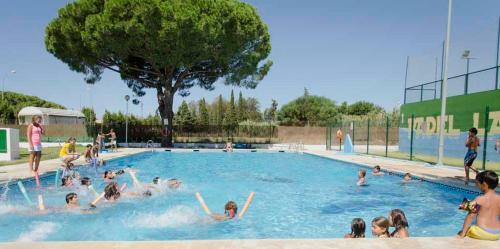 Bungalows-camping La Rana Verde
