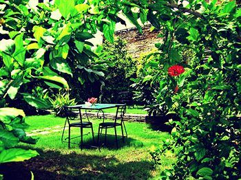 Hotel Hibiscus Guest House