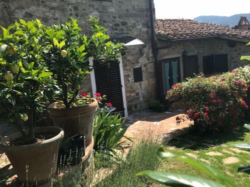 Montebeni Apartments