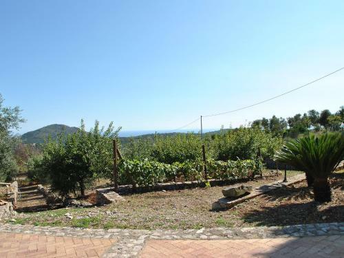 Villa The Grapes And The Stars