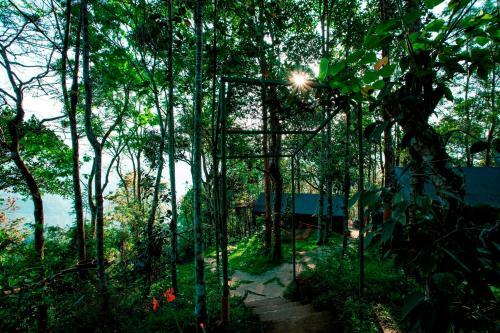 Hotel Season7 The Nature Resort