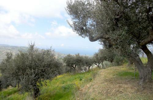 Agroturismo Casale Il Gheppio