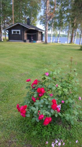 Ainola Cottage