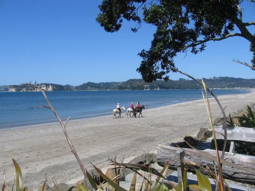 Motel Beachfront Resort