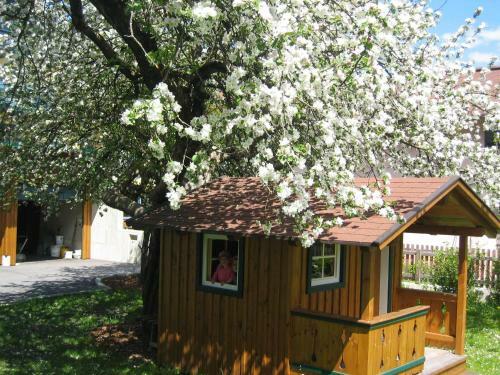 Hostal G�stehaus Pilz