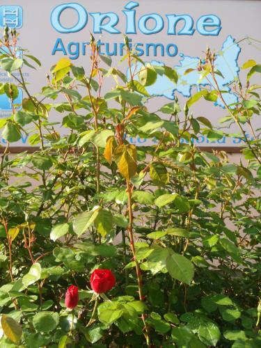 Agroturismo Agriturismo Orione