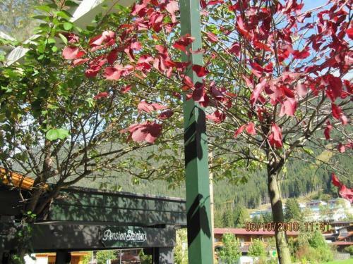 Hostal Pension Steinbock