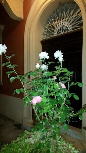 B&B Villa Storica Calderino