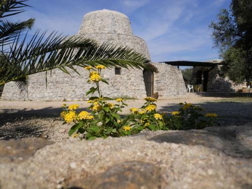 Agroturismo Agriturismo Specchiarussa