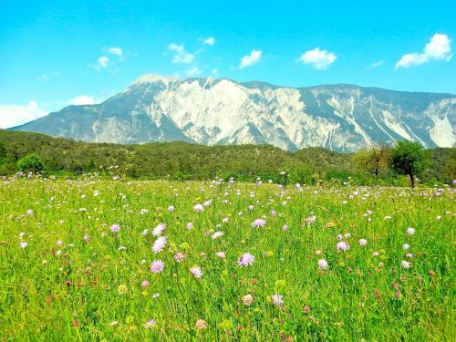 Apartamento Ferienhaus Alpina