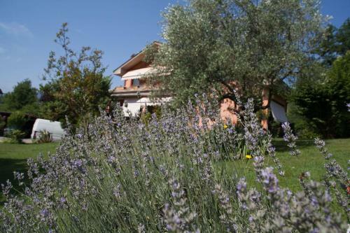 B&B Villa Il Noce