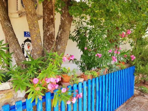 Apartamento Villa Ojdana