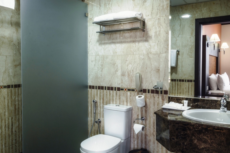 Royal Phoenicia Hotel