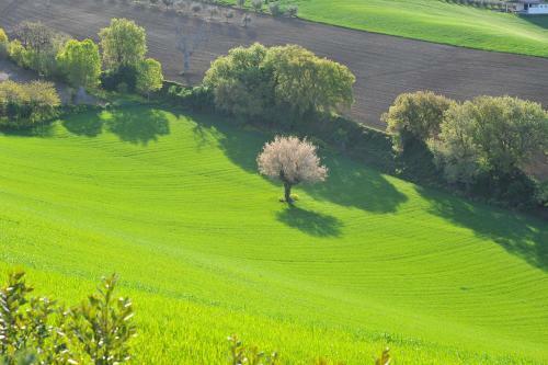 Agroturismo Solea Albergo Di Campagna