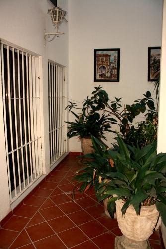 Hostal Pension Reina Josefina