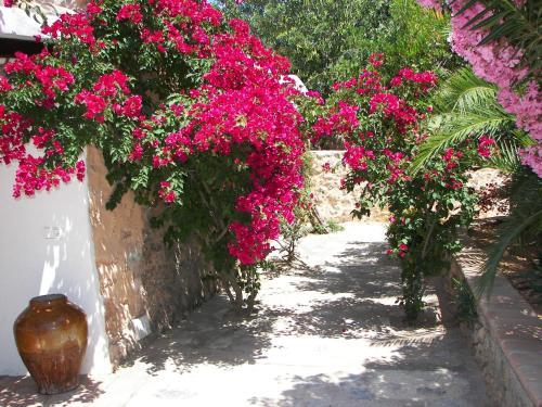 Agroturismo Can Pere Sord