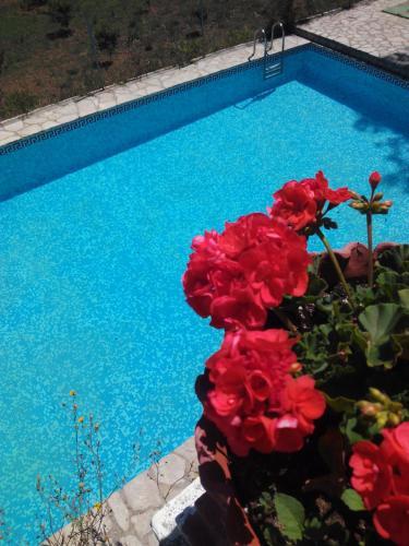 Hotel El Prat