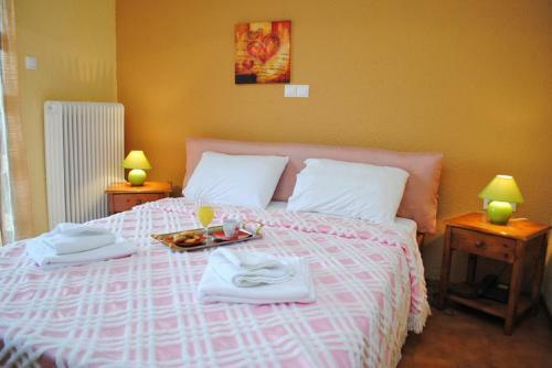 Hotel Aoos