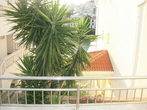 Hostal Villa Obad Guest House