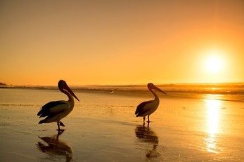 North Coast Holiday Parks Shaws Bay
