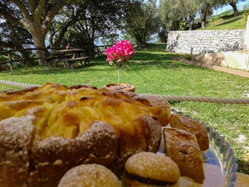 B&B Dri�s