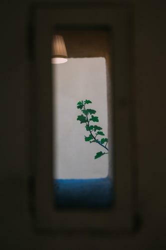Apartamento B&B Delle Volte